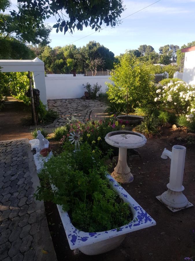 Karoo Manor Guesthouse And Restaurant Richmond  Zewnętrze zdjęcie