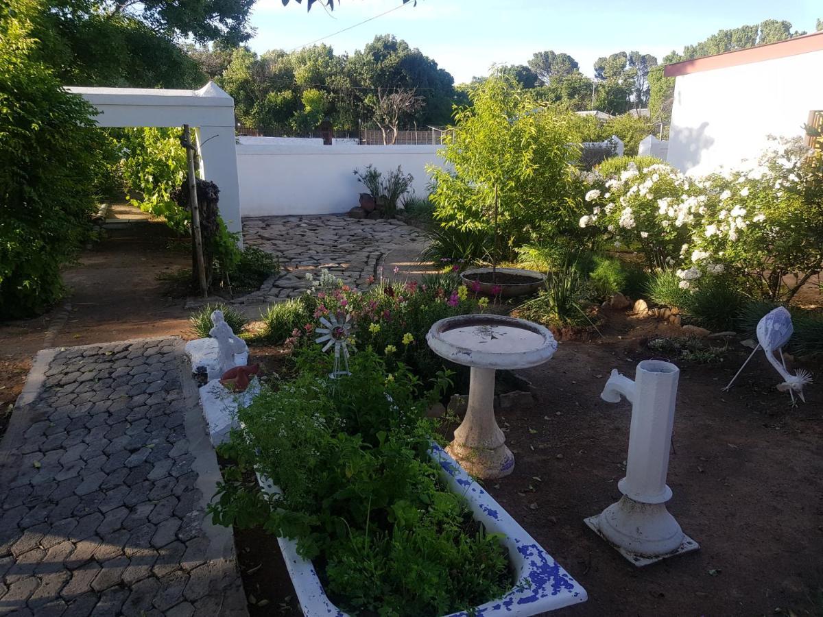 Karoo Manor Guesthouse And Restaurant Richmond  Zewnętrze zdjęcie
